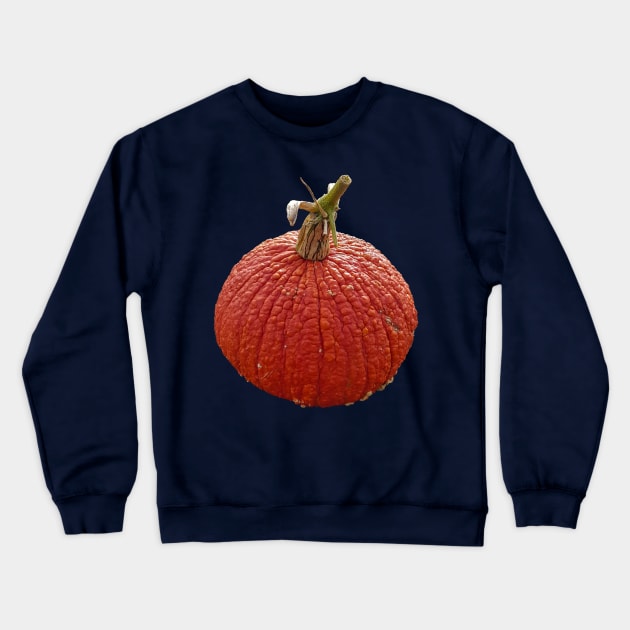 Orange Bumpy Pumpkin for Halloween Decoration Crewneck Sweatshirt by ellenhenryflorals